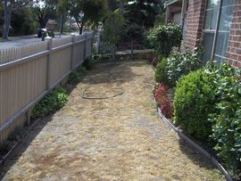 lawn01.JPG