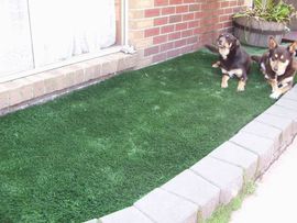 lawn04.JPG